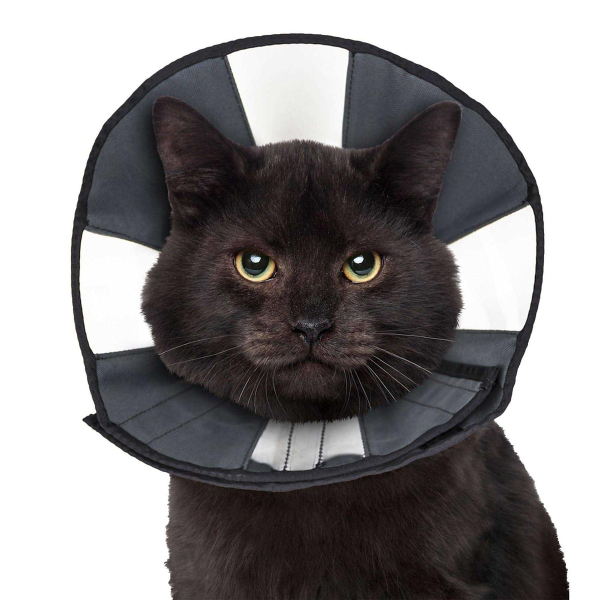 Soft Recovery Collar I9336