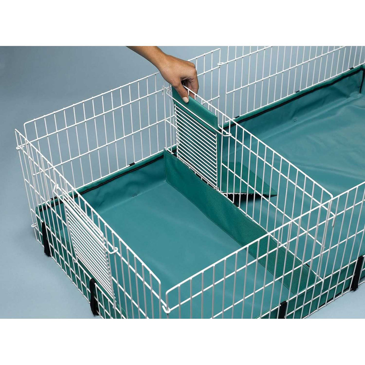Guinea Pig Habitat S457
