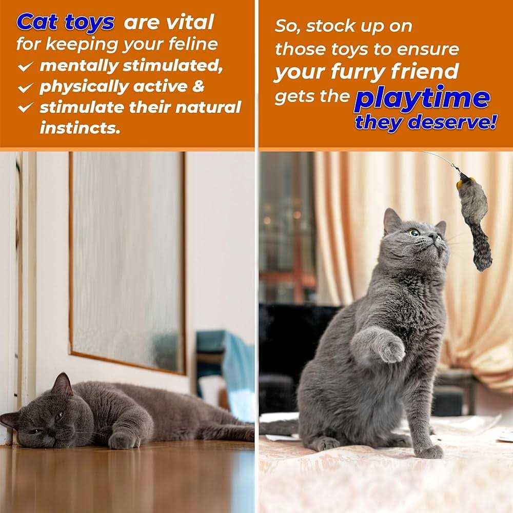 Mouse Cat Toy V64011
