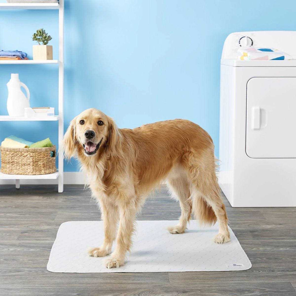 Washable Dog Pee Pads S539