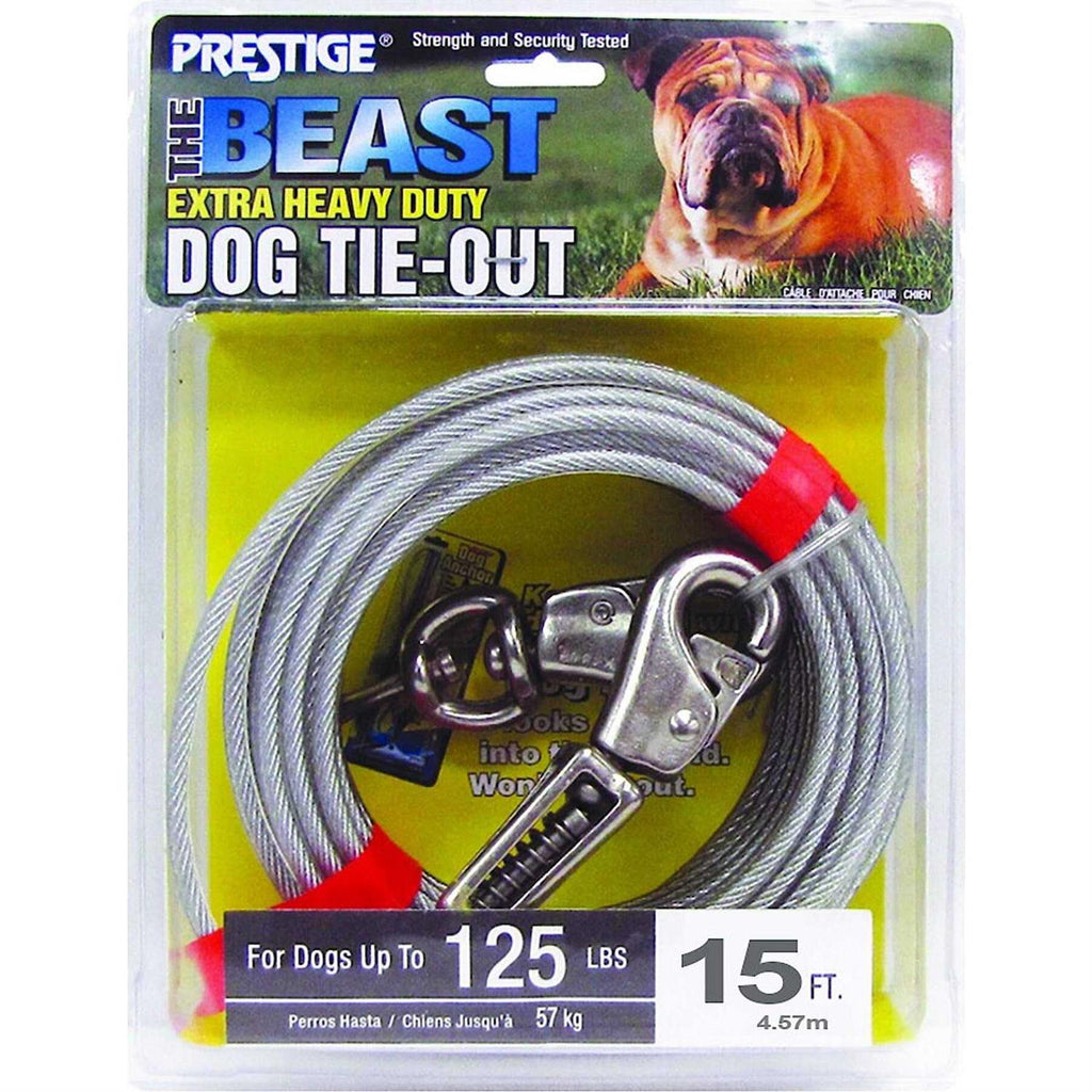 15ft XL Dog Tie-Out with Spring C782423