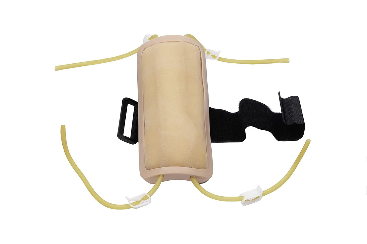 Phlebotomy and IV Practice Kit F2213