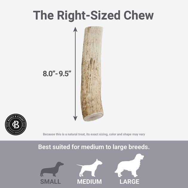 Elk Antler Dog Chew D851707