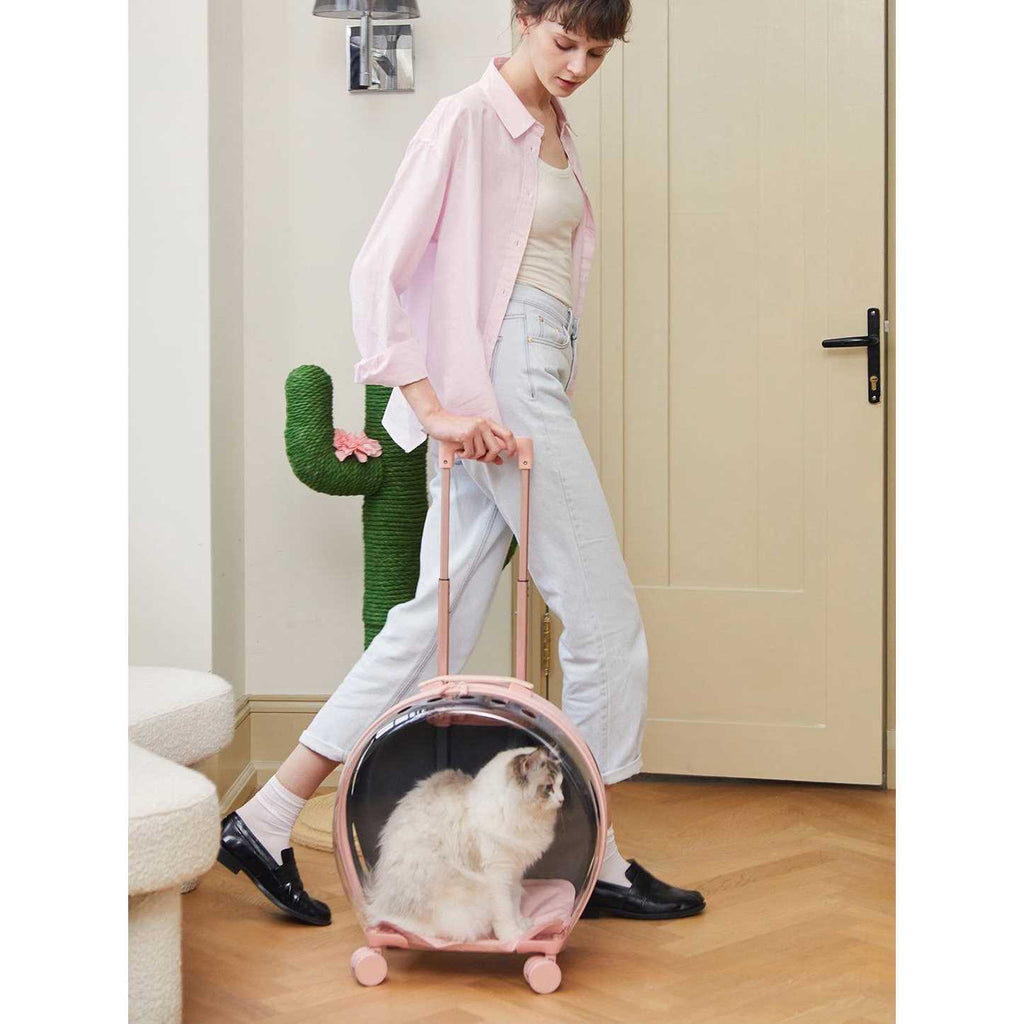Dog & Cat Carrier Z854