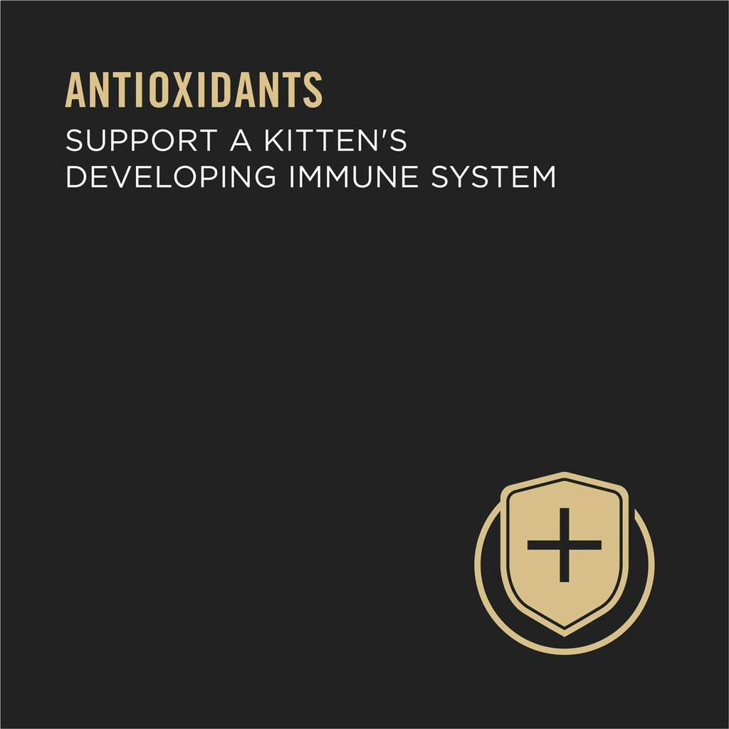 Wet Kitten Food Variety Pack U8038
