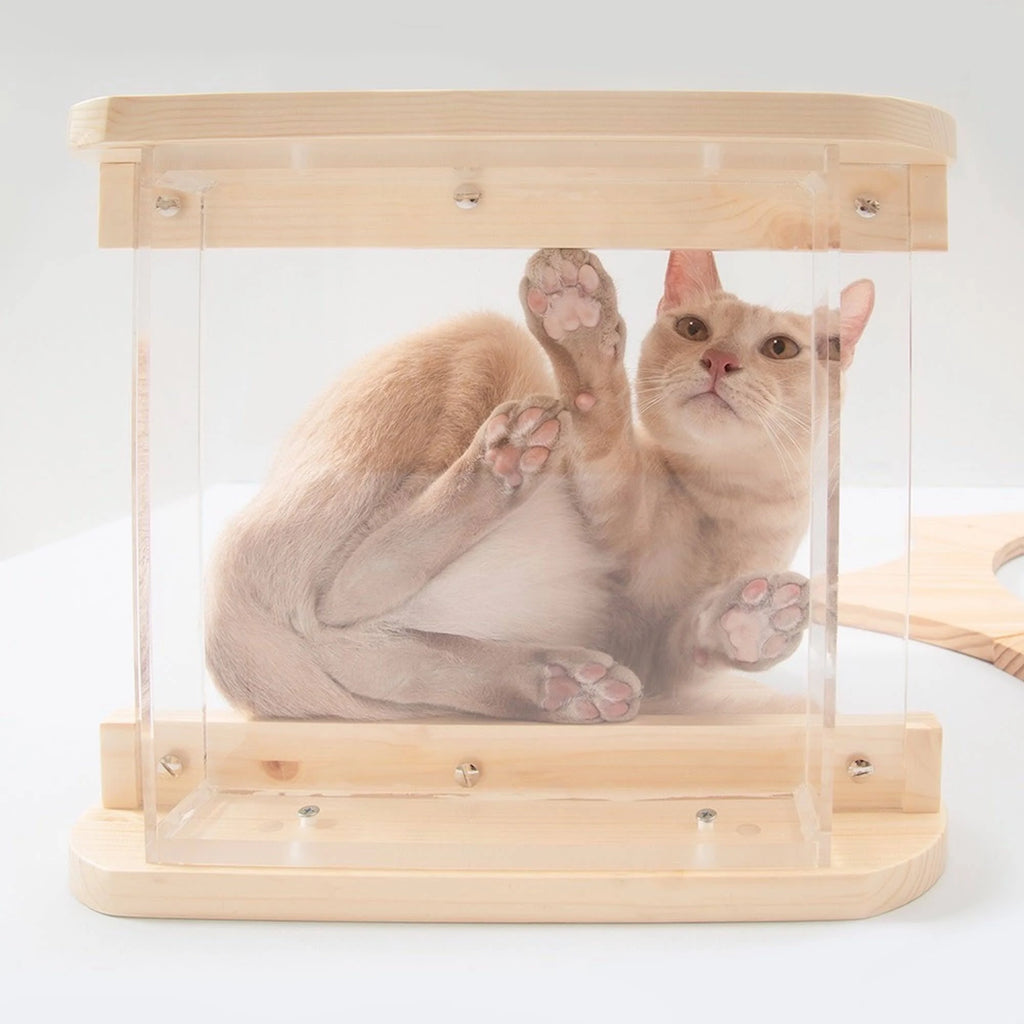 Natural Wood Cat Shelves M12486