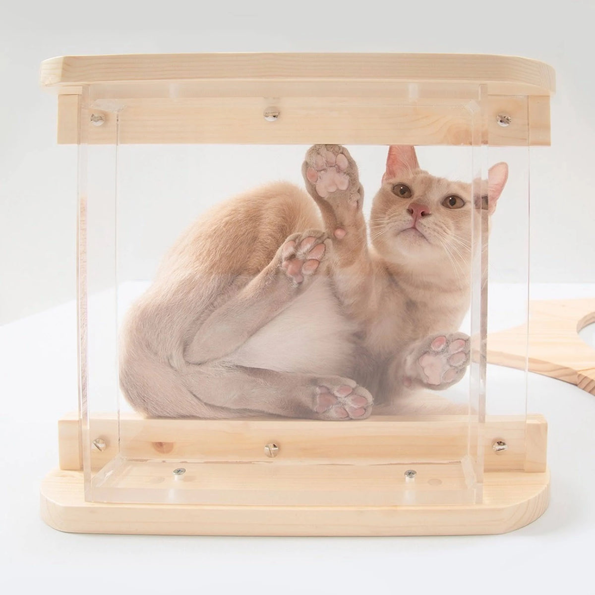Natural Wood Cat Shelves M12486