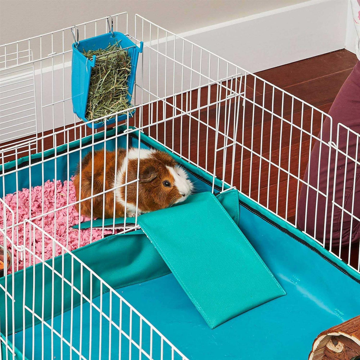 Guinea Pig Habitat S457