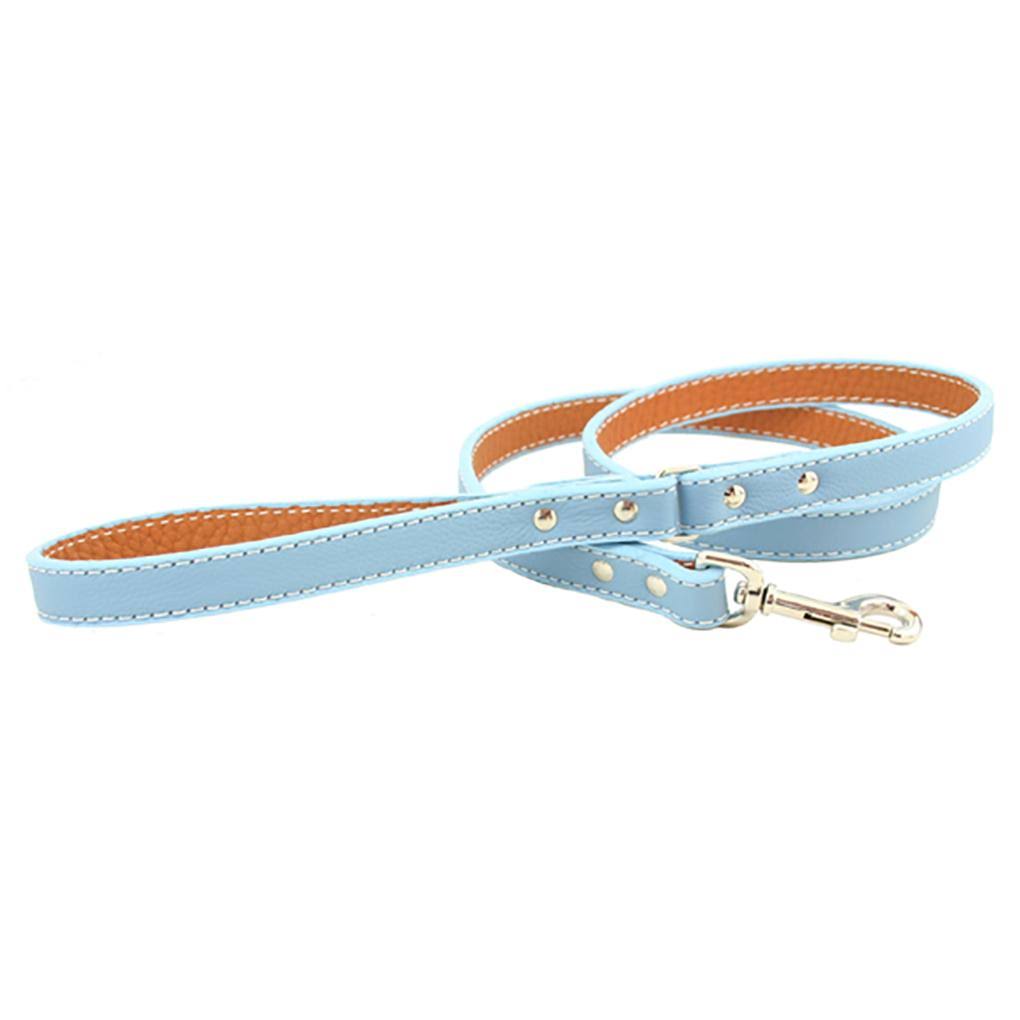 Light Blue Leather Dog Leash A910559