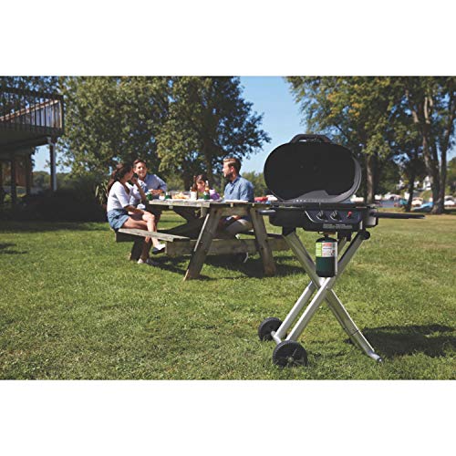 Portable Stand-Up Propane Grill with Push-Button Starter N308568