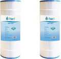 Pool & Spa Filter Cartridge 2 Pack X9817