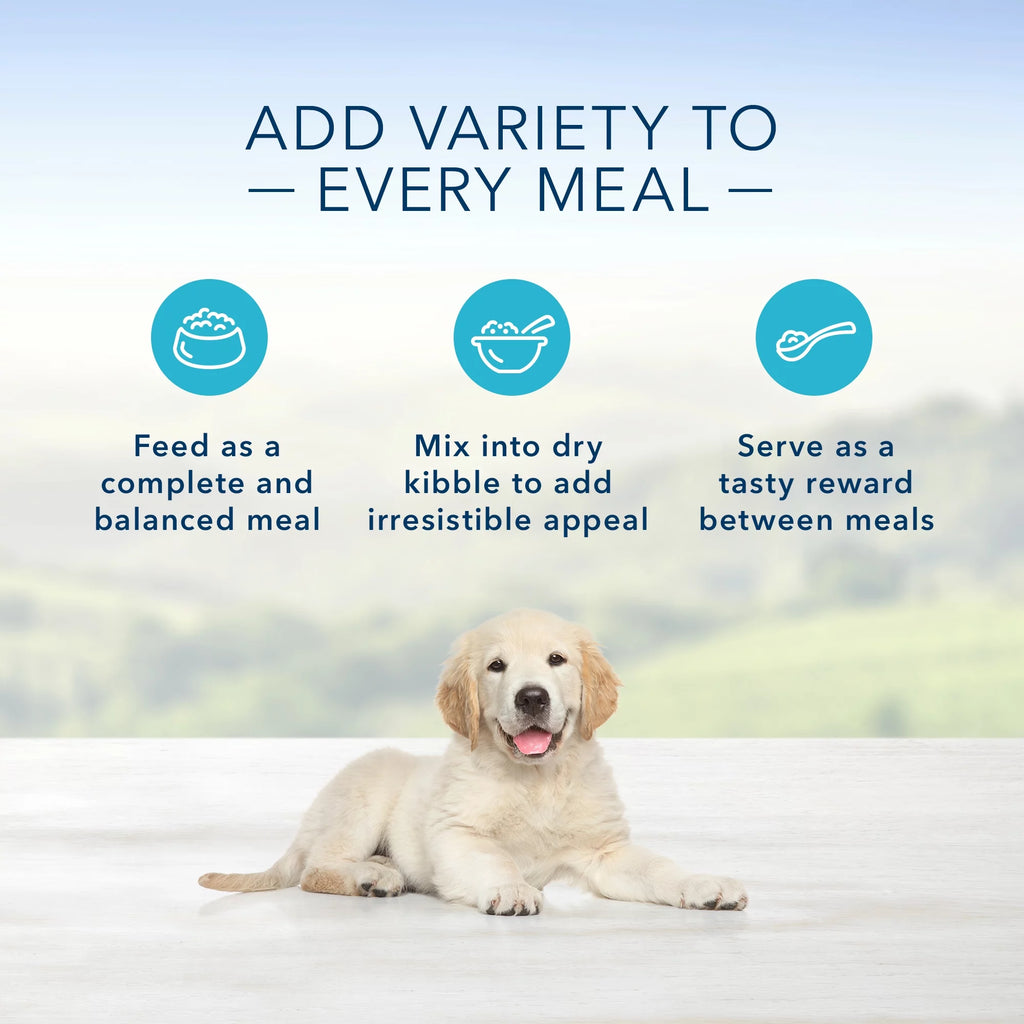 Chicken 12.5-oz can Wet Dog Food (Pack of 12) M293