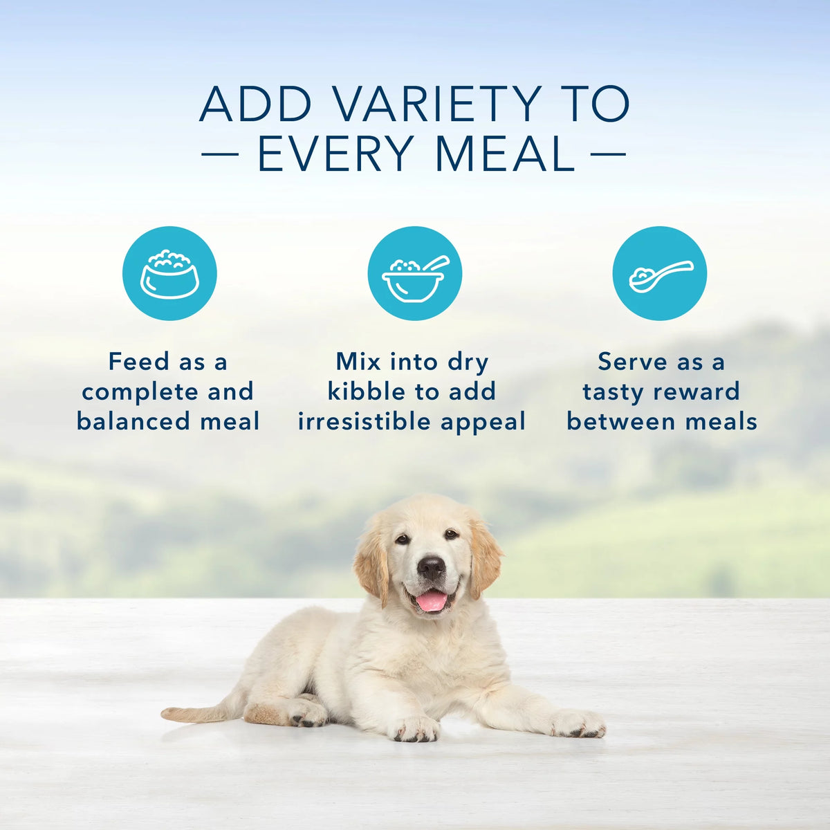 Chicken 12.5-oz can Wet Dog Food (Pack of 12) M293