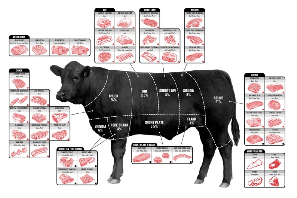 12In x 16In Metal Print Cattle Diagram Poster Y204585