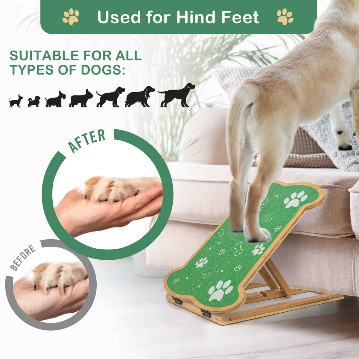 Dog Nail Scratch Board M38481