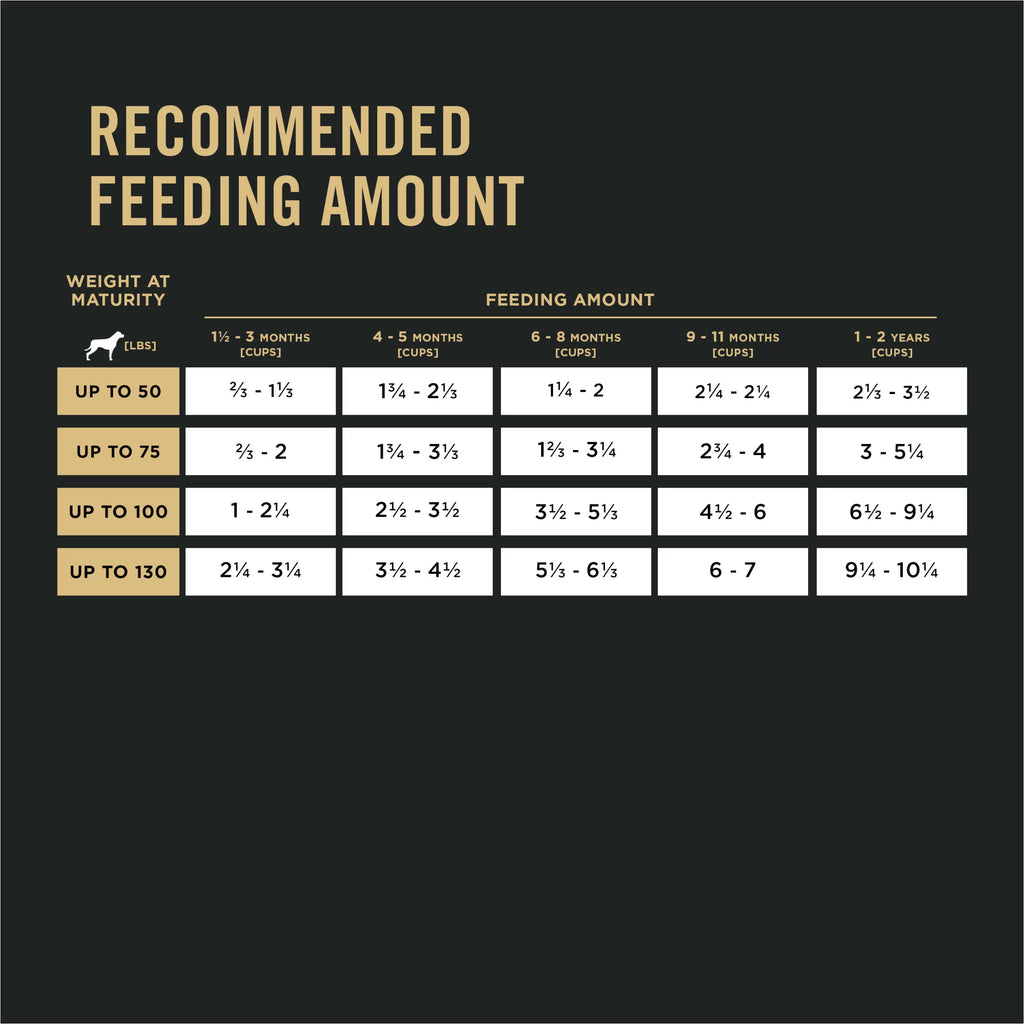 Large Breed Dry Dog Food, Salmon & Rice, 16 lb Bag E583