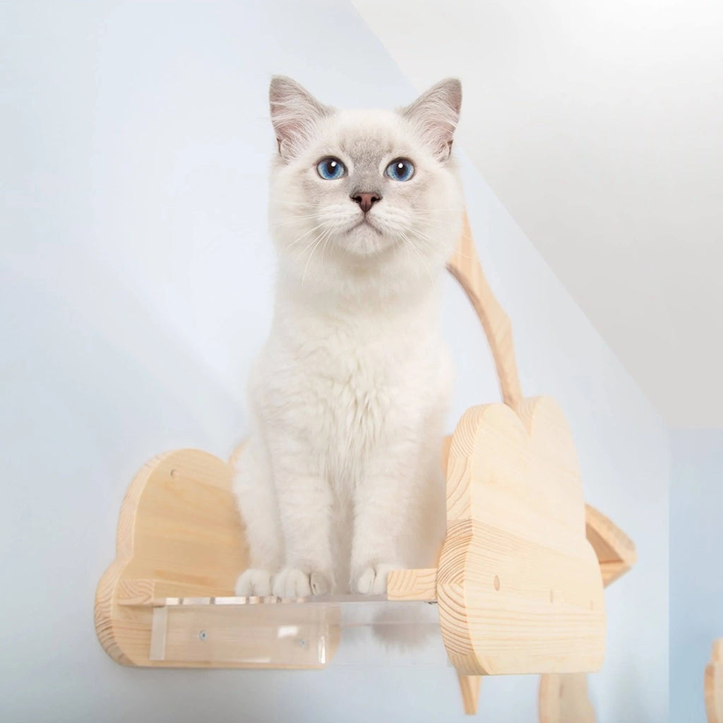 Natural Wood Cat Shelves M12486