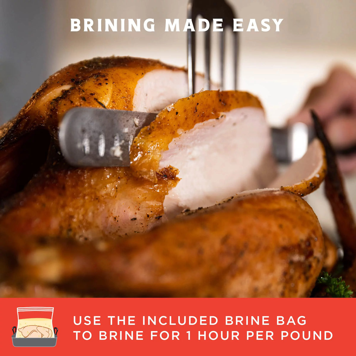 Sweet Heat Turkey Brine Kit with Bag L73761