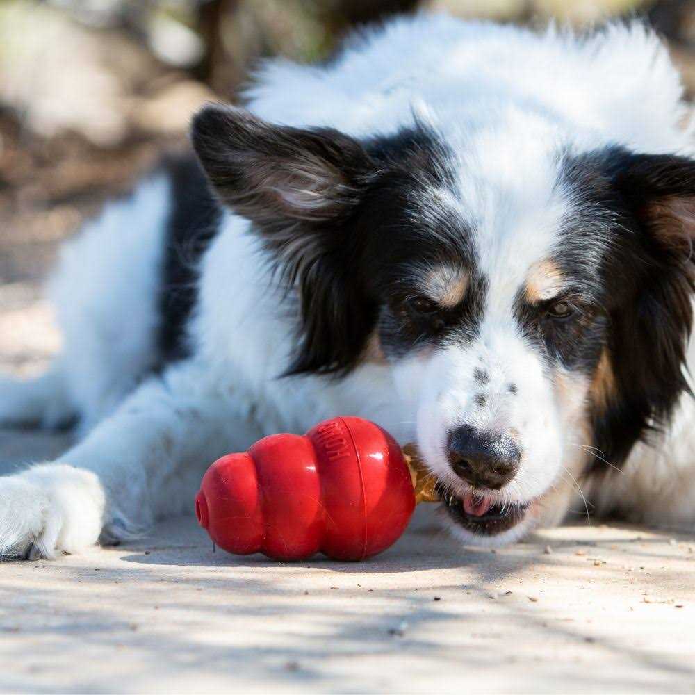 Pet Supplies E761