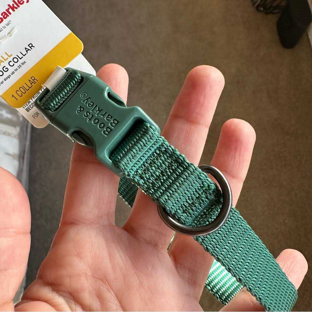 Basic Dog Collar C425
