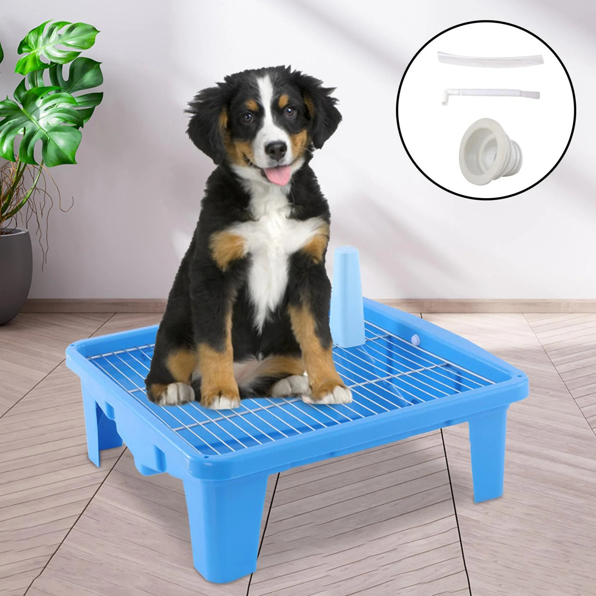 Pet Training Pad Holder V796768