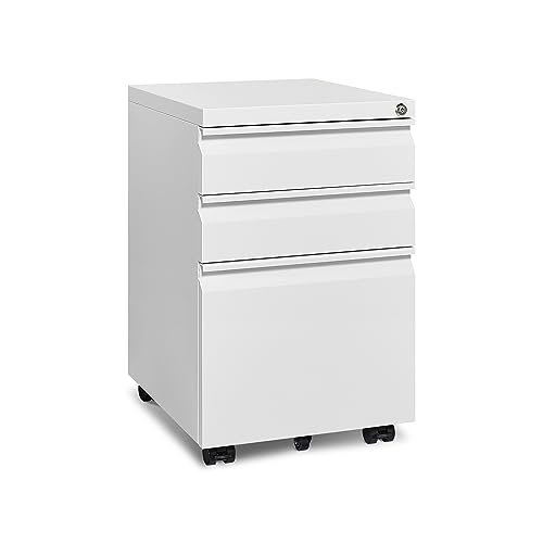 Black Metal Storage Cabinet with Adjustable Shelves O8030