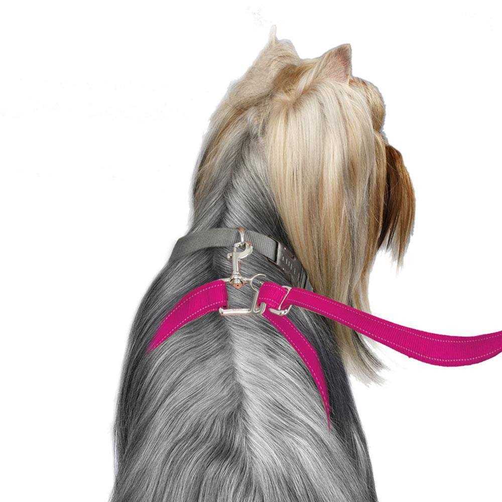 Dog Leash S159