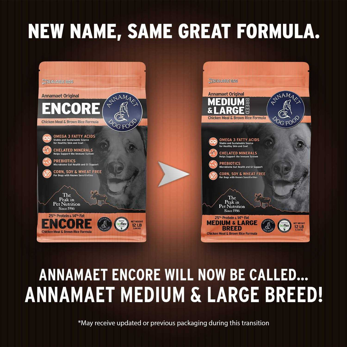 Medium & Large Breed Dry Dog Food D6371