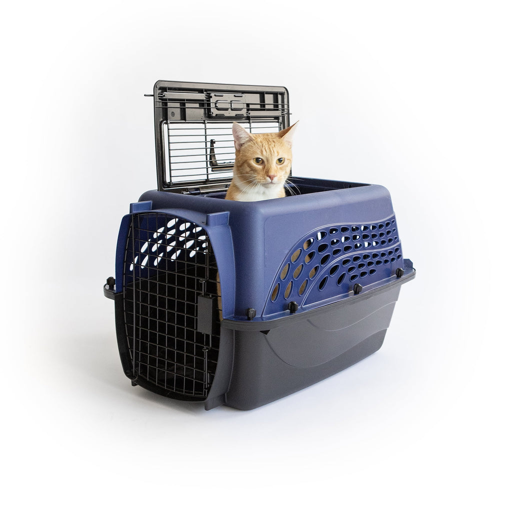 Blue 24 2-Door Plastic Pet Carrier A222
