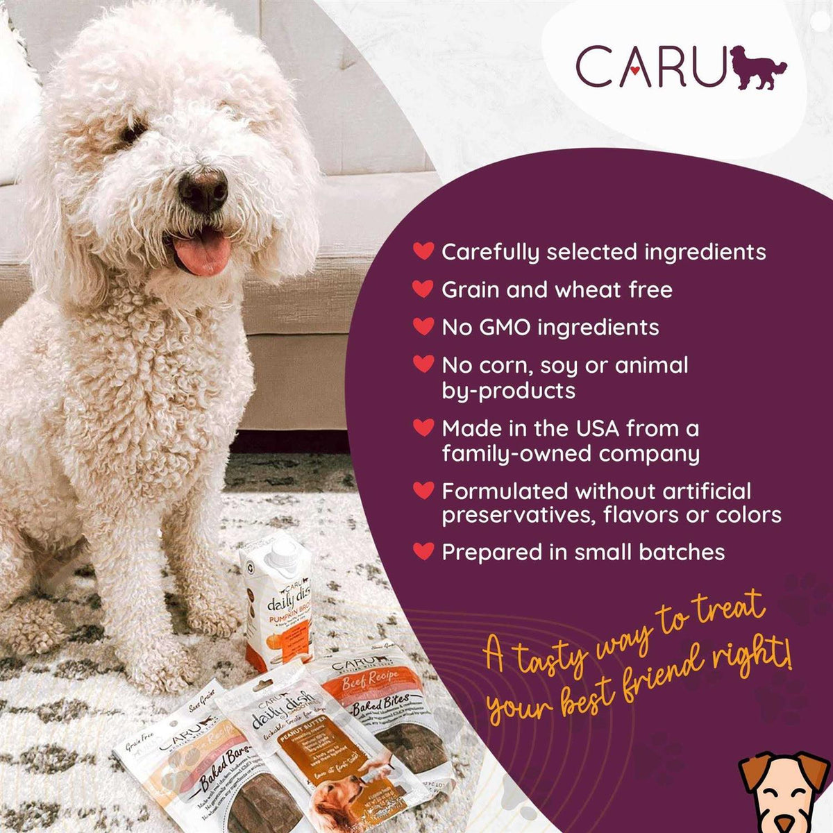 Baked Dog Treats F44169