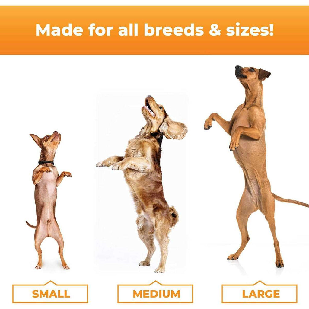 Joint Supplement for Dogs L921564