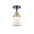 Oil Rubbed Bronze Flush Mount Light E654278