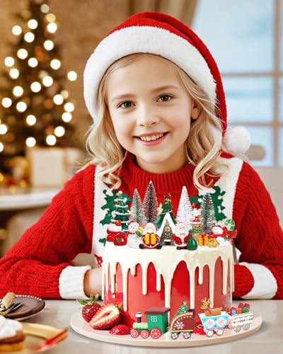 19 Piece Christmas Cake Decorations Set D968