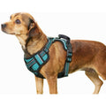 Padded Reflective Dog Harness Q392