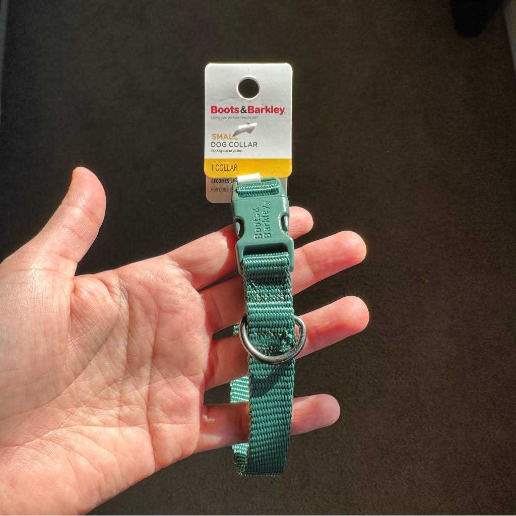 Basic Dog Collar C425