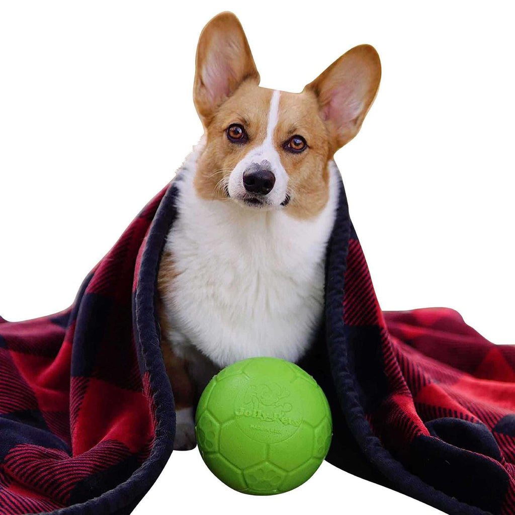 Soccer Ball Pet Supplies Q45102