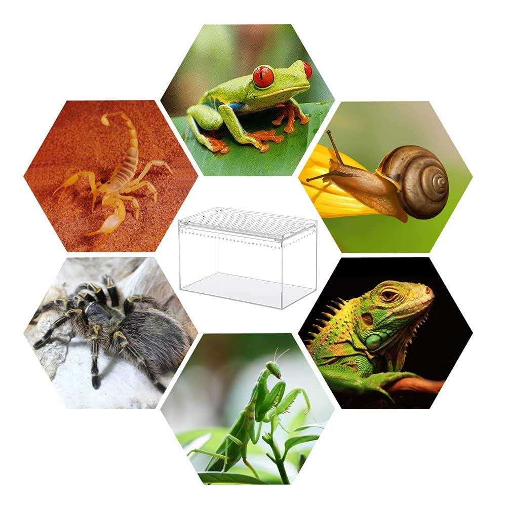 10x6x6 Inch Acrylic Reptile Terrarium P133