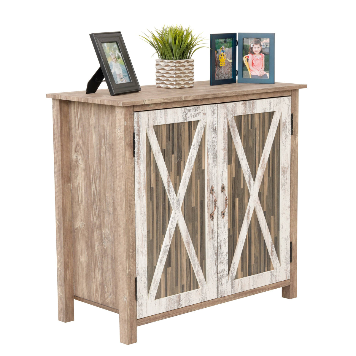 Two Door Cabinet with Rustic Barn Style Doors N592