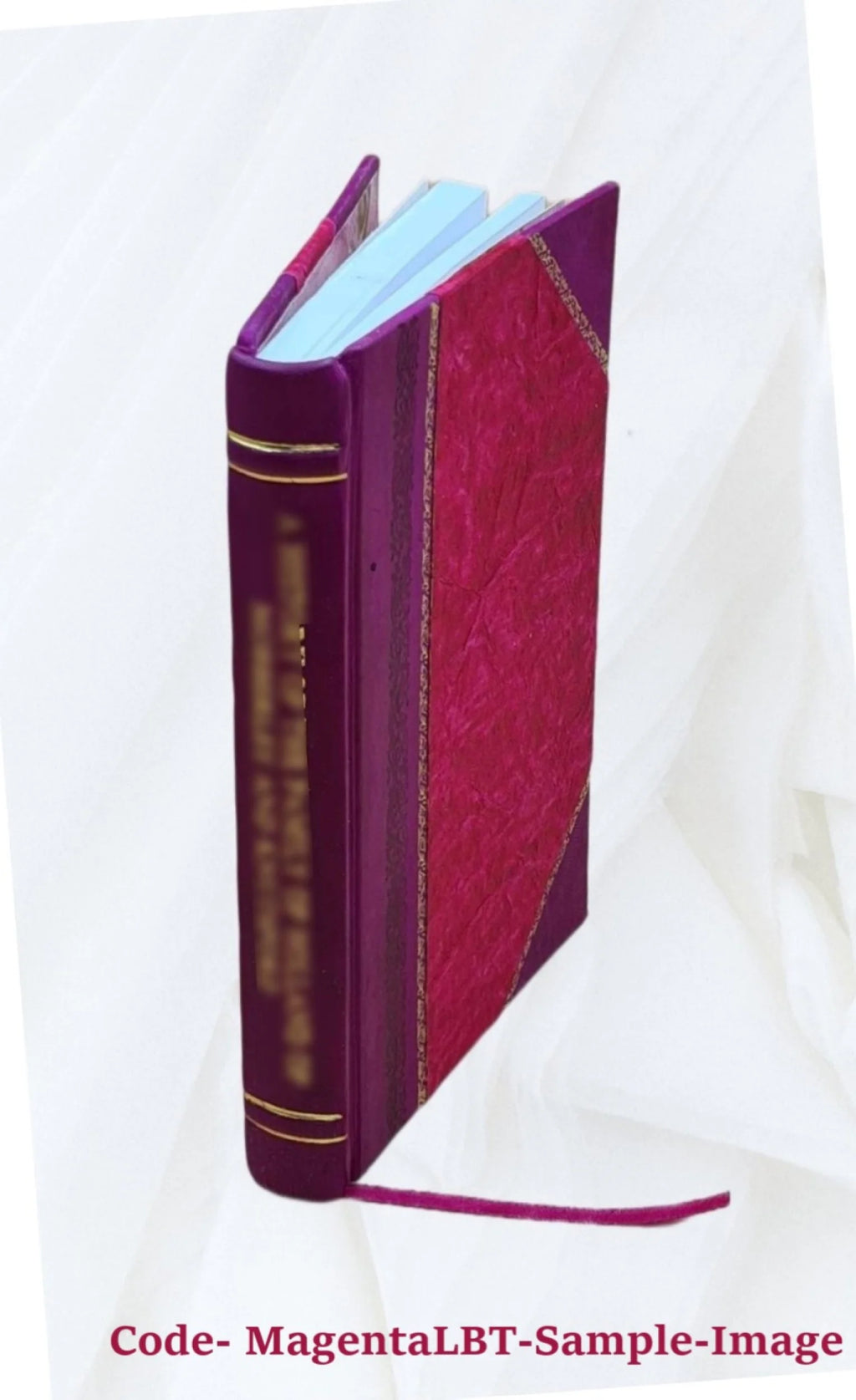 Leather Bound Volume Brief and Appendix I11826
