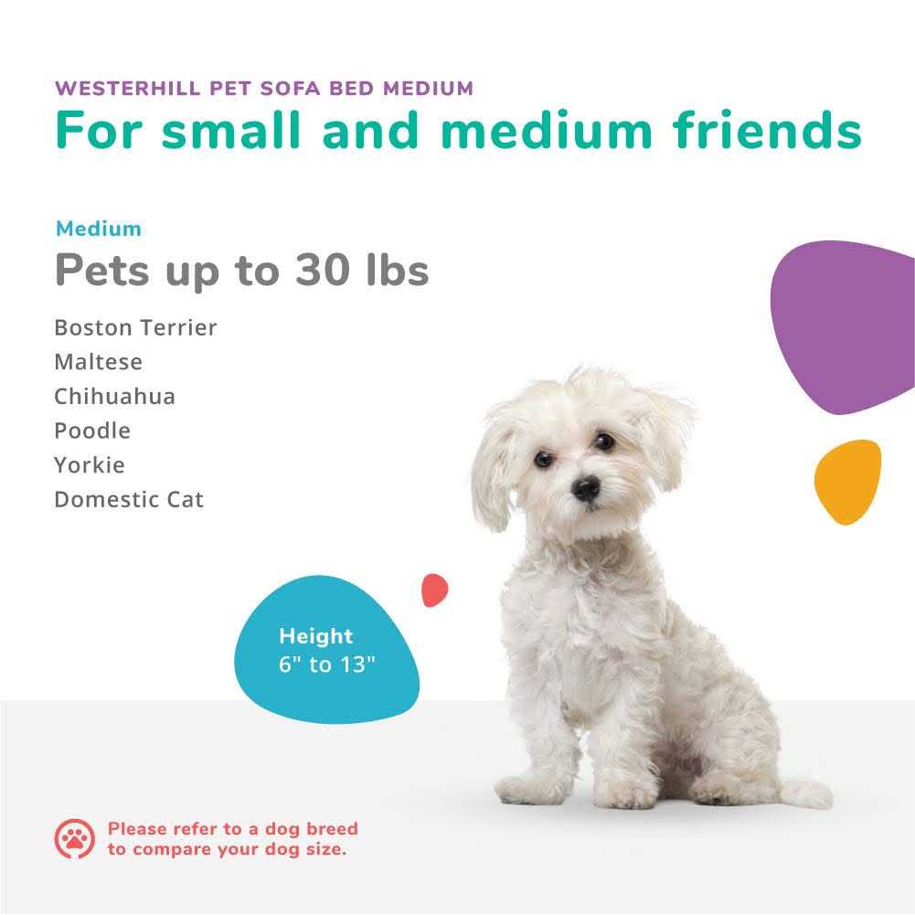 Pet Sofa Bed H408