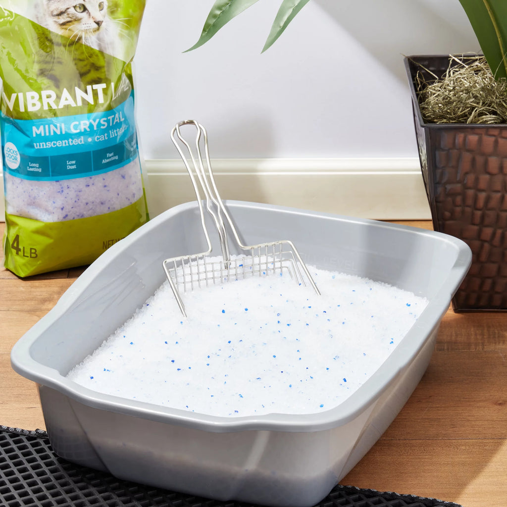 Mini Unscented Cat Litter, 4 lb J474578
