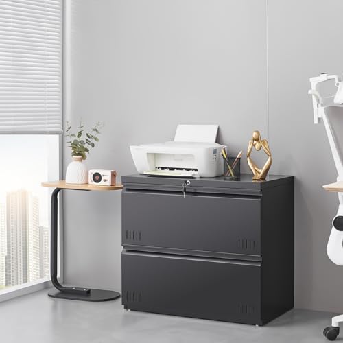 Black Metal Storage Cabinet with Adjustable Shelves O8030