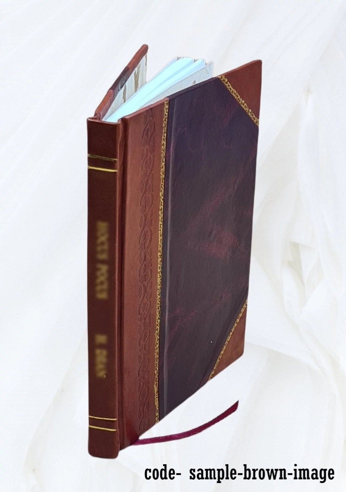 Leather Bound Volume Brief and Appendix I11826