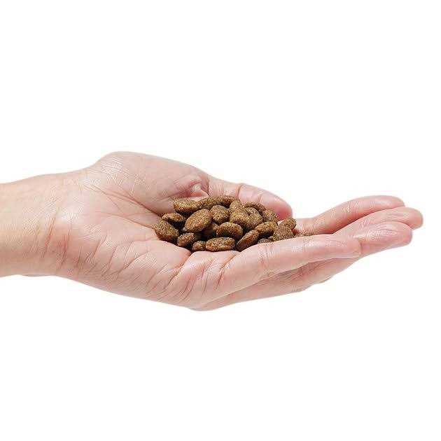 Grain-Free Dog Food D792