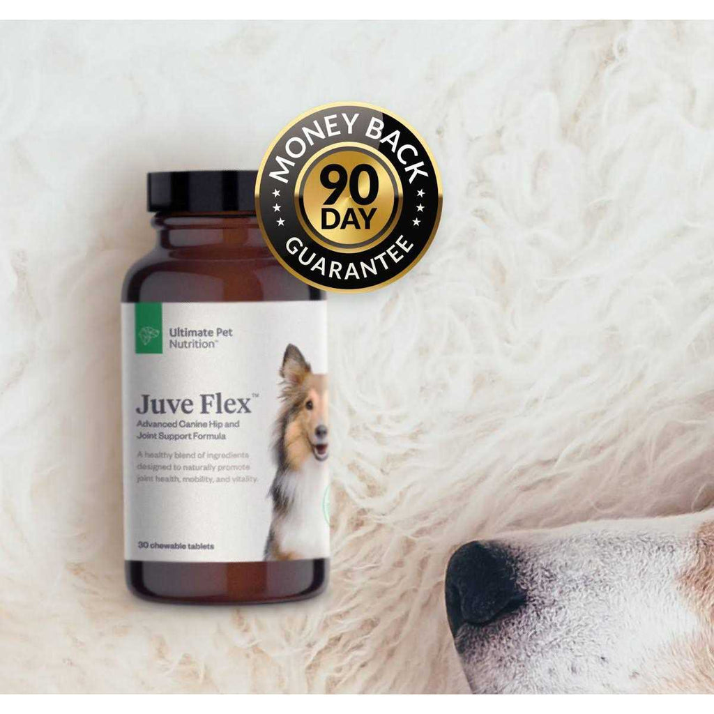 Hip & Joint Support Supplement for Dogs N235