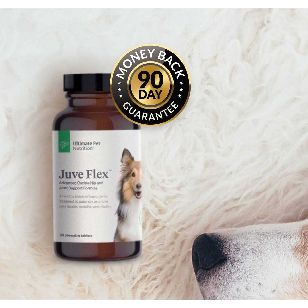 Hip & Joint Support Supplement for Dogs N235