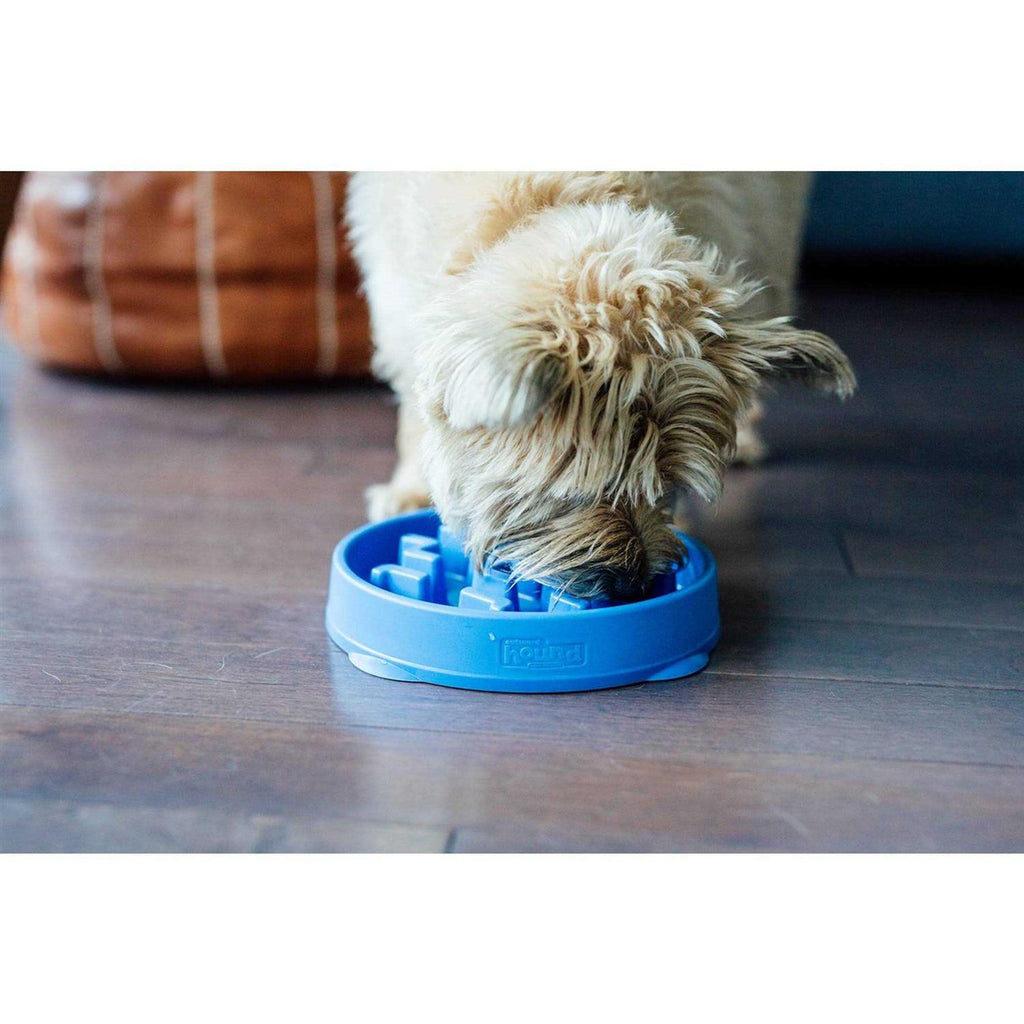 Fun Feeder Bowl W75070
