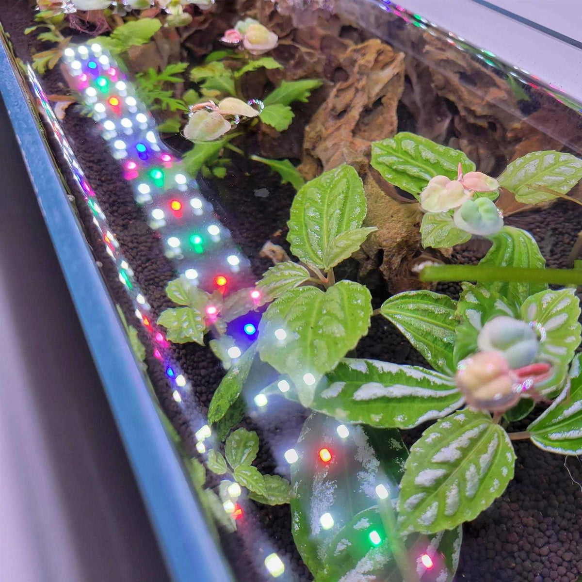 Full Spectrum LED Aquarium Light O4085
